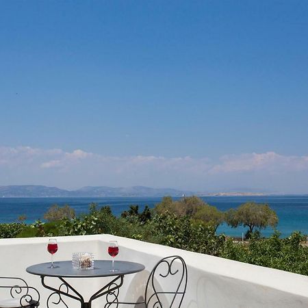 Aneli Luxury Villas-Villa Aegina Екстериор снимка